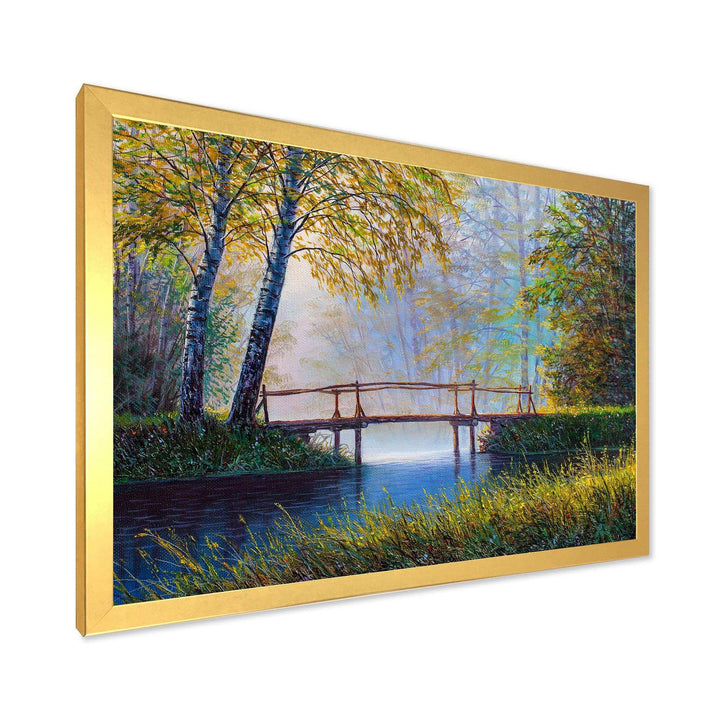 Morning Sunlight and The Awakening Spring Forest