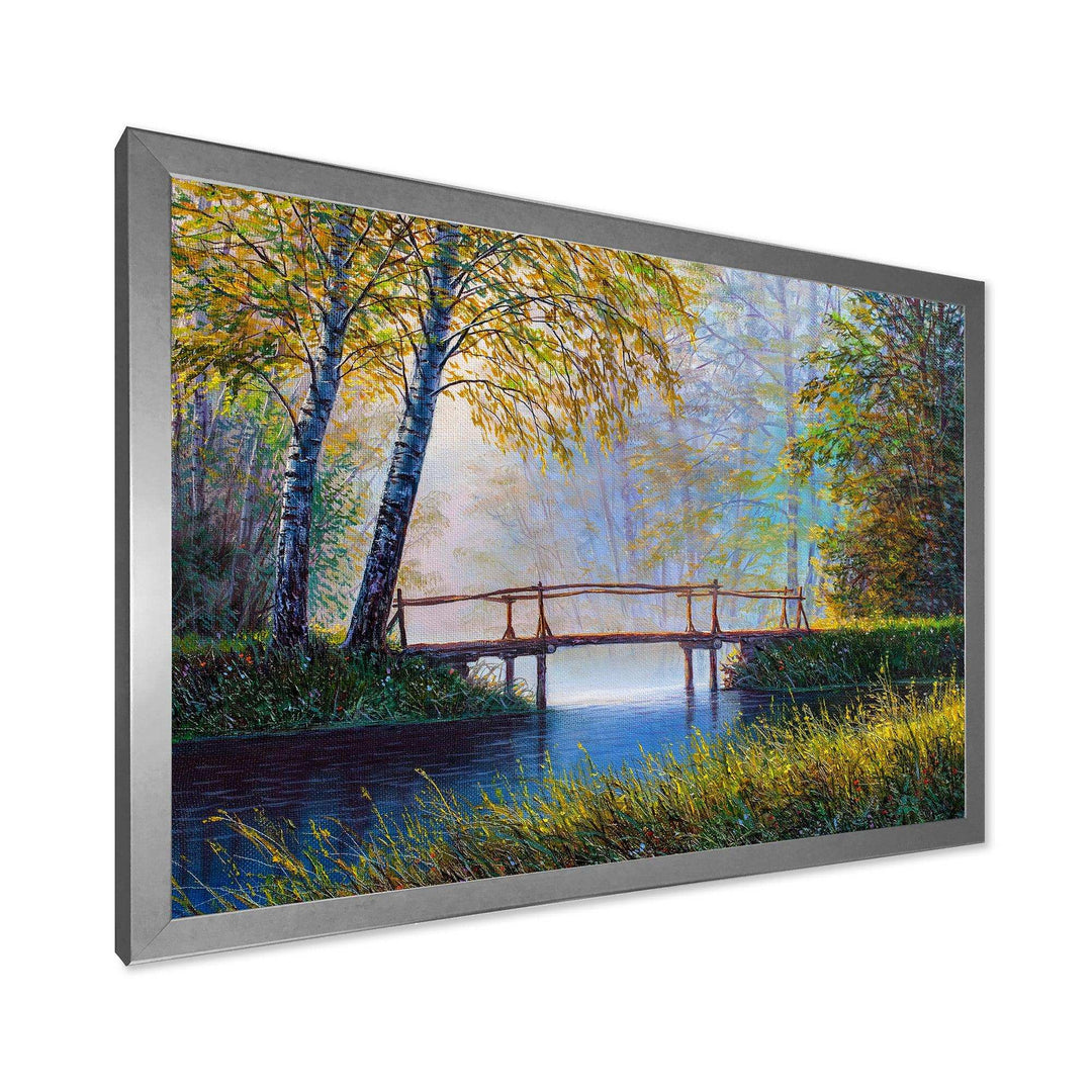 Morning Sunlight and The Awakening Spring Forest