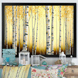 Golden Birch Trees Forest III