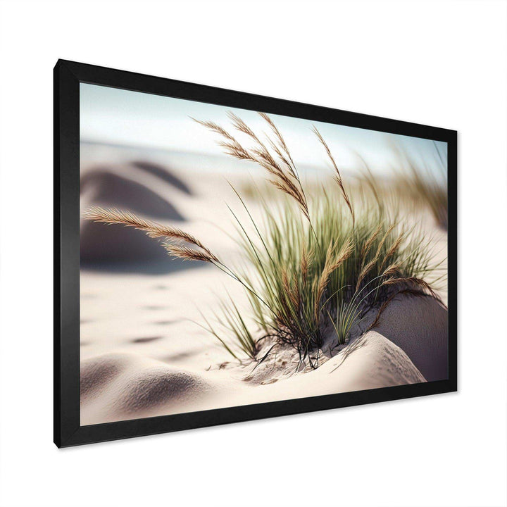Grass On Sand Dunes II