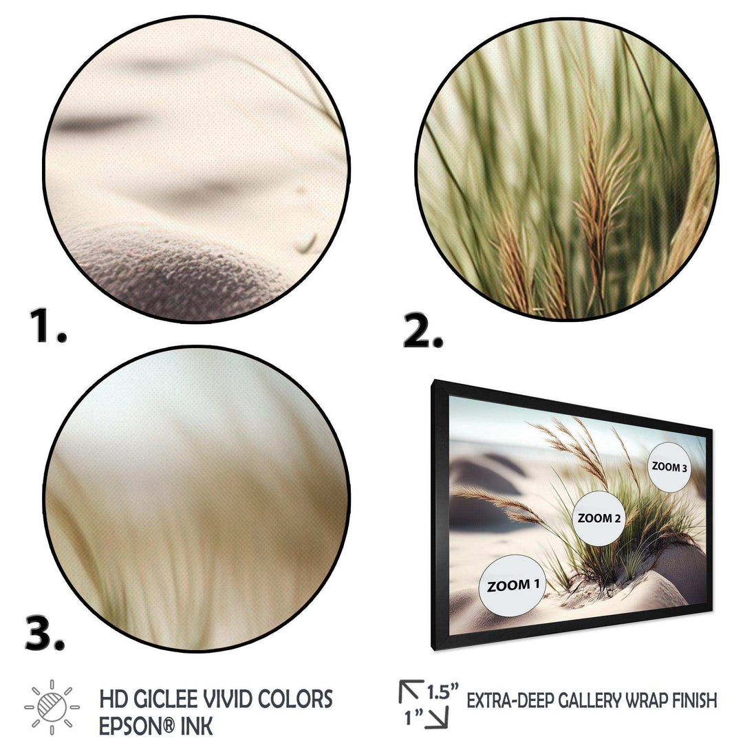 Grass On Sand Dunes II