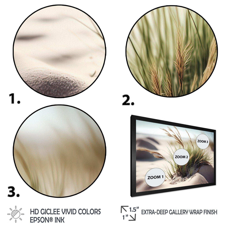Grass On Sand Dunes II