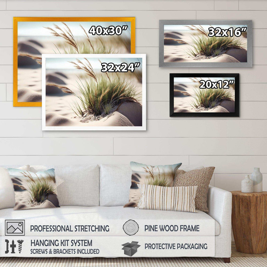 Grass On Sand Dunes II