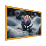 A Blooming Multicolor Tulip Flower In Winter II Framed Print Vibrant Gold - 1.5"Width