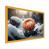 A Blooming Orange Dahlia Flower In Winter II Framed Print Vibrant Gold - 1.5"Width