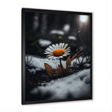 A Blooming Orange Daisy Flower In Winter I Framed Print Vibrant Black - 1.5"Width