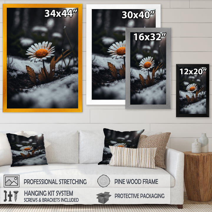 A Blooming Orange Daisy Flower In Winter I Framed Print Vibrant Black - 1.5"Width