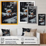 A Blooming Orange Daisy Flower In Winter I Framed Print Vibrant Black - 1.5"Width