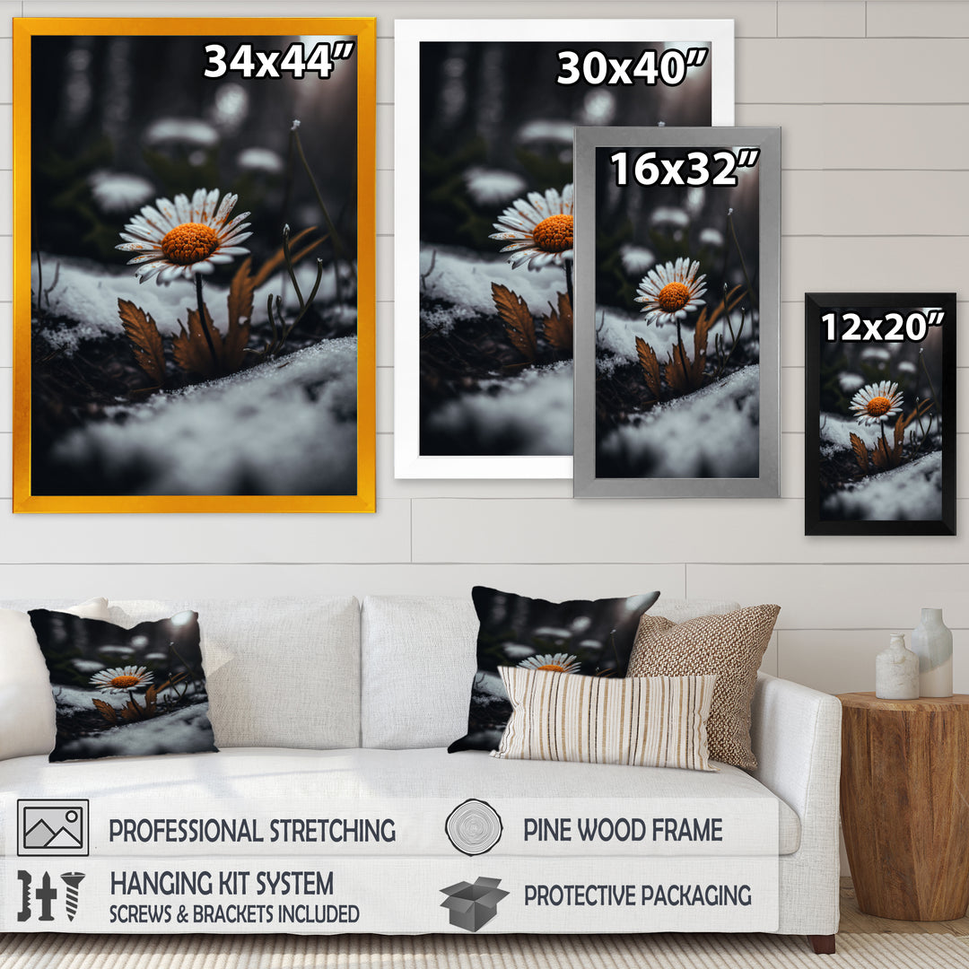 A Blooming Orange Daisy Flower In Winter I Framed Print Vibrant Gold - 1.5"Width