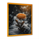 A Blooming Orange Marigold Flower In Winter III Framed Print Vibrant Gold - 1.5"Width