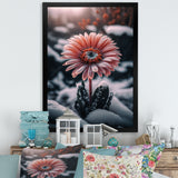 A Blooming Pink Gerbera Flower In Winter II Framed Print Vibrant Gold - 1.5"Width