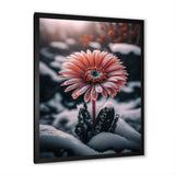 A Blooming Pink Gerbera Flower In Winter II Framed Print Vibrant Black - 1.5"Width