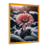 A Blooming Pink Gerbera Flower In Winter II Framed Print Vibrant Gold - 1.5"Width