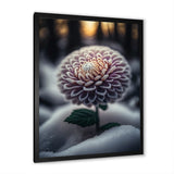 A Blooming Purple Dahlia Flower In Winter V Framed Print Vibrant Black - 1.5"Width