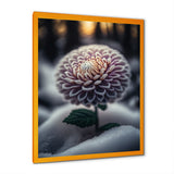 A Blooming Purple Dahlia Flower In Winter V Framed Print Vibrant Gold - 1.5"Width