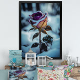 A Blooming Purple Rose Flower In Winter I Framed Print Vibrant Gold - 1.5"Width