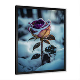 A Blooming Purple Rose Flower In Winter I Framed Print Vibrant Black - 1.5"Width