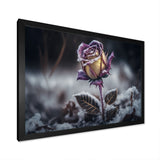 A Blooming Purple Rose Flower In Winter II Framed Print Vibrant Black - 1.5"Width