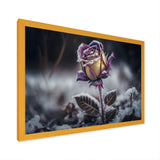 A Blooming Purple Rose Flower In Winter II Framed Print Vibrant Gold - 1.5"Width