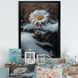 A Blooming White Daisy Flower In Winter Framed Print Vibrant Gold - 1.5"Width