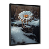 A Blooming White Daisy Flower In Winter Framed Print Vibrant Black - 1.5"Width