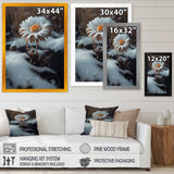 A Blooming White Daisy Flower In Winter Framed Print Vibrant Black - 1.5"Width