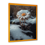 A Blooming White Daisy Flower In Winter Framed Print Vibrant Gold - 1.5"Width