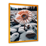 A Blooming White Gerbera Flower In Winter Framed Print Vibrant Gold - 1.5"Width