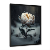 A Blooming White Peony Flower In Winter II Framed Print Vibrant Black - 1.5"Width