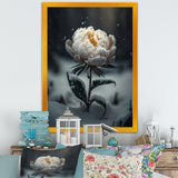 A Blooming White Peony Flower In Winter II Framed Canvas Vibrant Black - 1.5"Thick