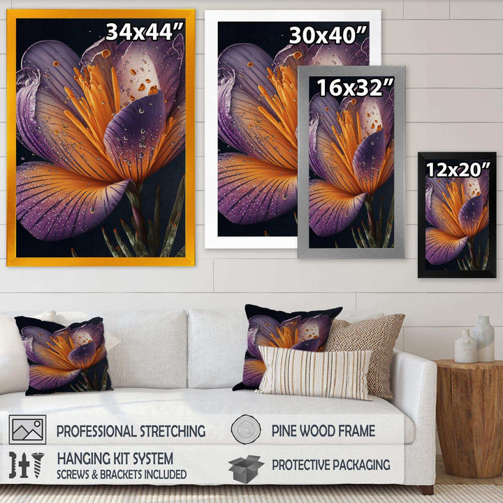 Blooming Crocus II