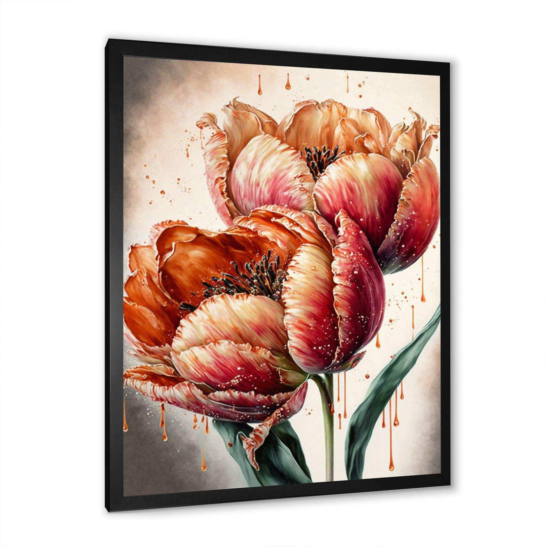 Blooming Red Tulip