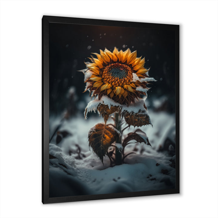 A Blooming Yellow And Orange Sunflower Winter I Framed Print Vibrant Black - 1.5"Width