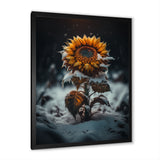 A Blooming Yellow And Orange Sunflower Winter I Framed Print Vibrant Black - 1.5"Width