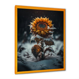 A Blooming Yellow And Orange Sunflower Winter I Framed Print Vibrant Gold - 1.5"Width