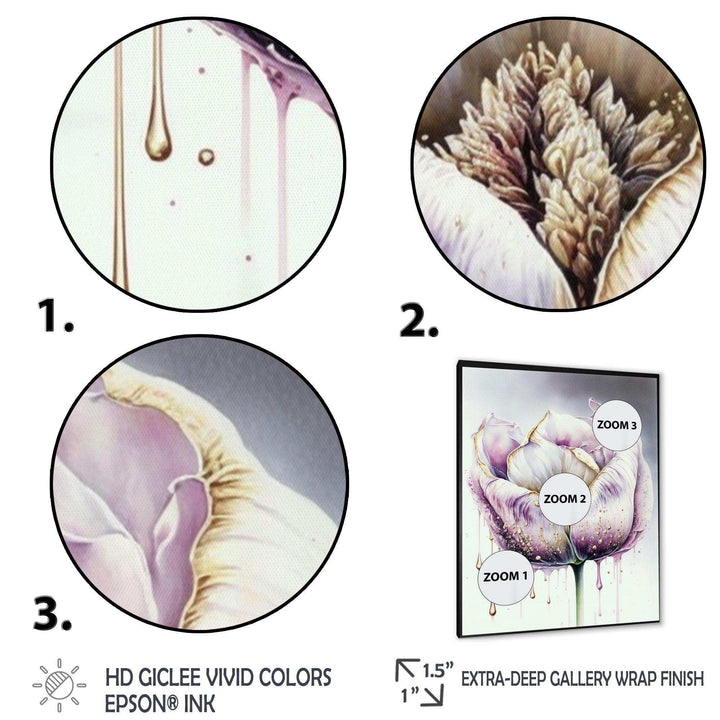 Cream And Purple Tulip III