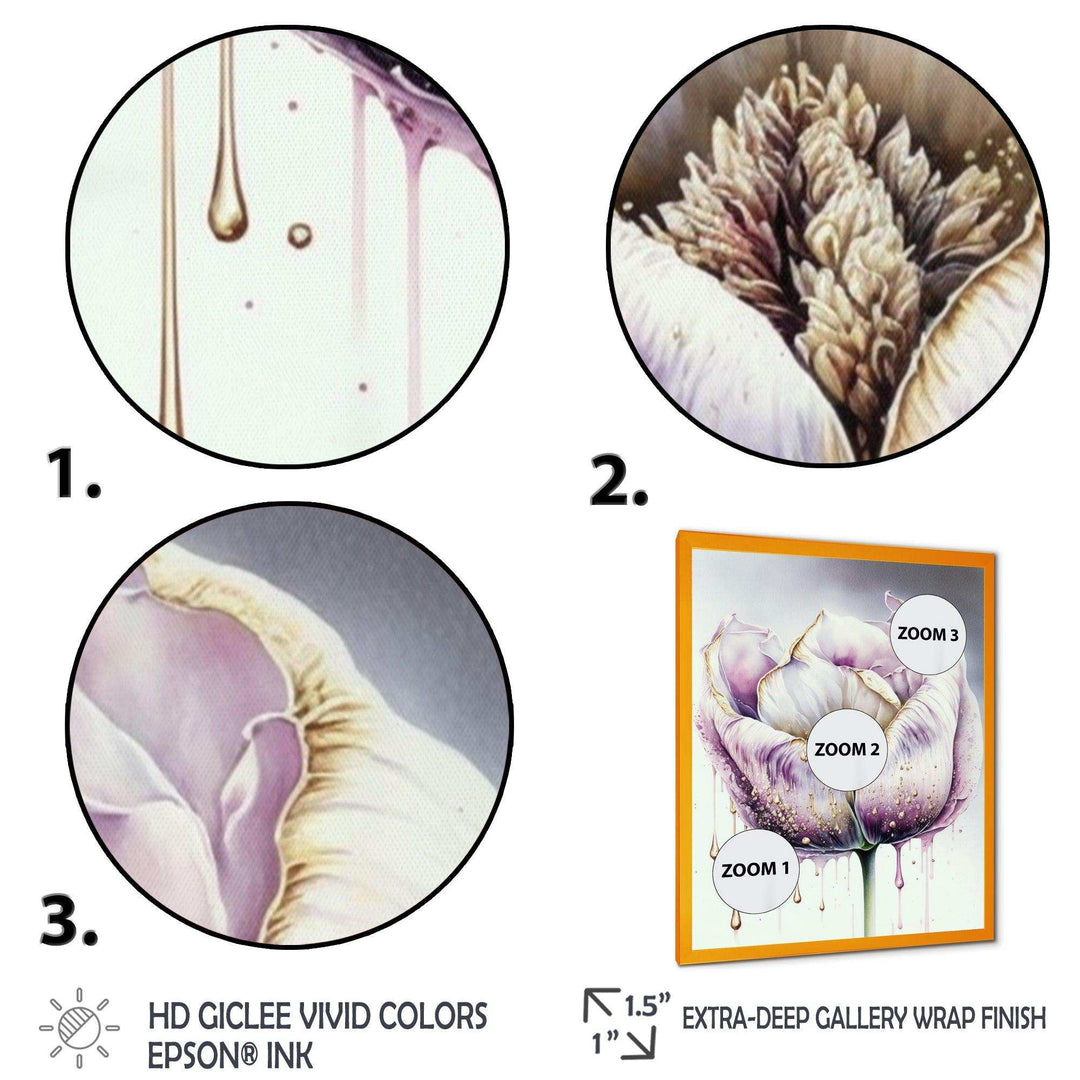 Cream And Purple Tulip III