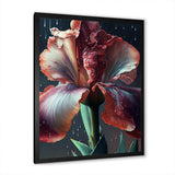 Red Gladiolus Flowers I