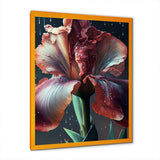 Red Gladiolus Flowers I