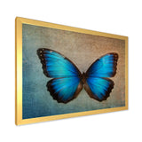 Blue Vintage Butterfly