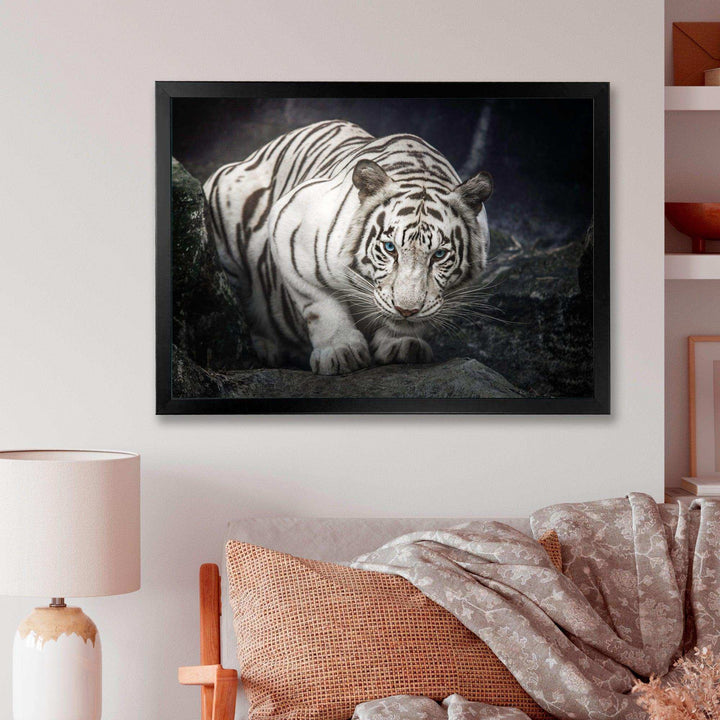White Tiger