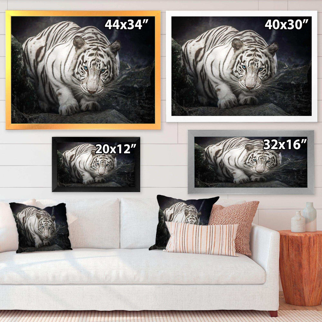 White Tiger