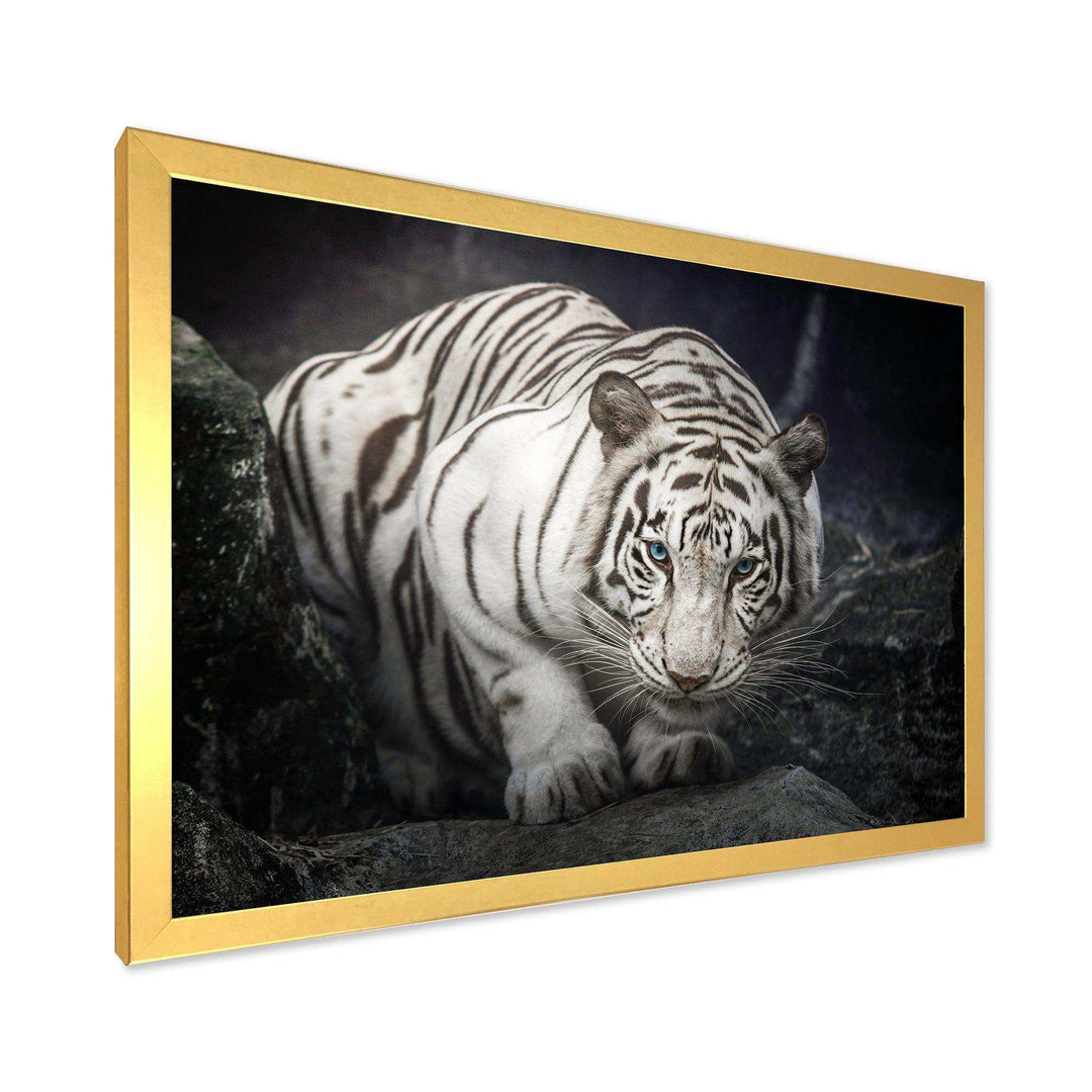 White Tiger