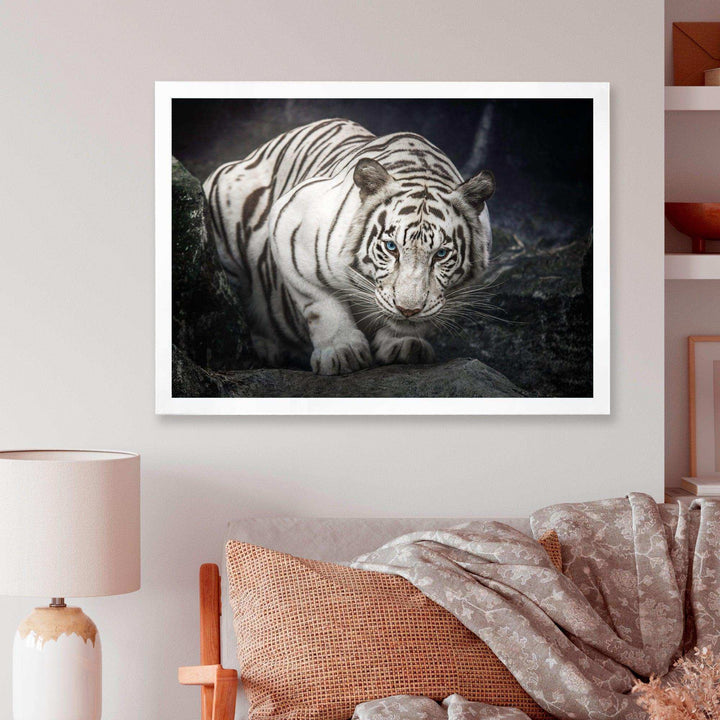 White Tiger