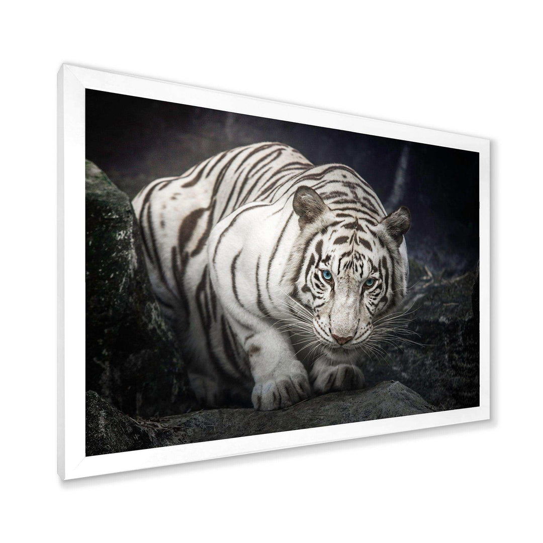 White Tiger