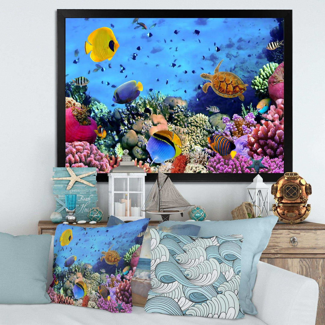 Coral Colony and Coral Fishes