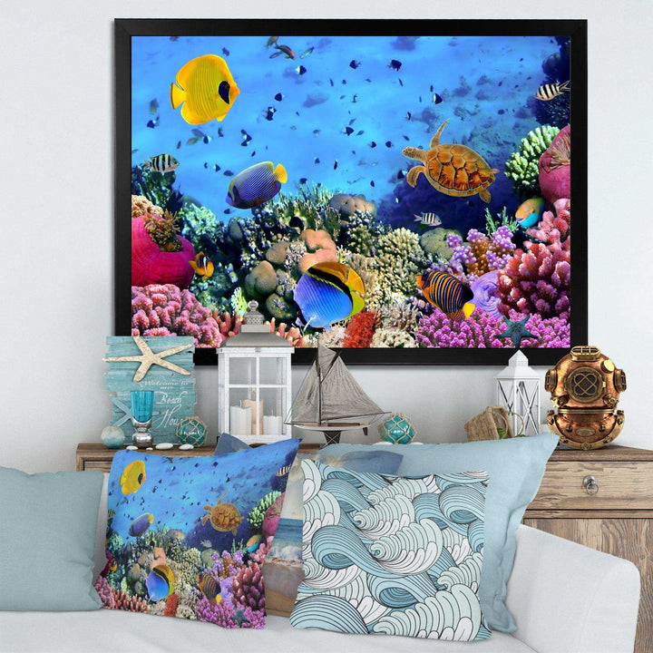 Coral Colony and Coral Fishes