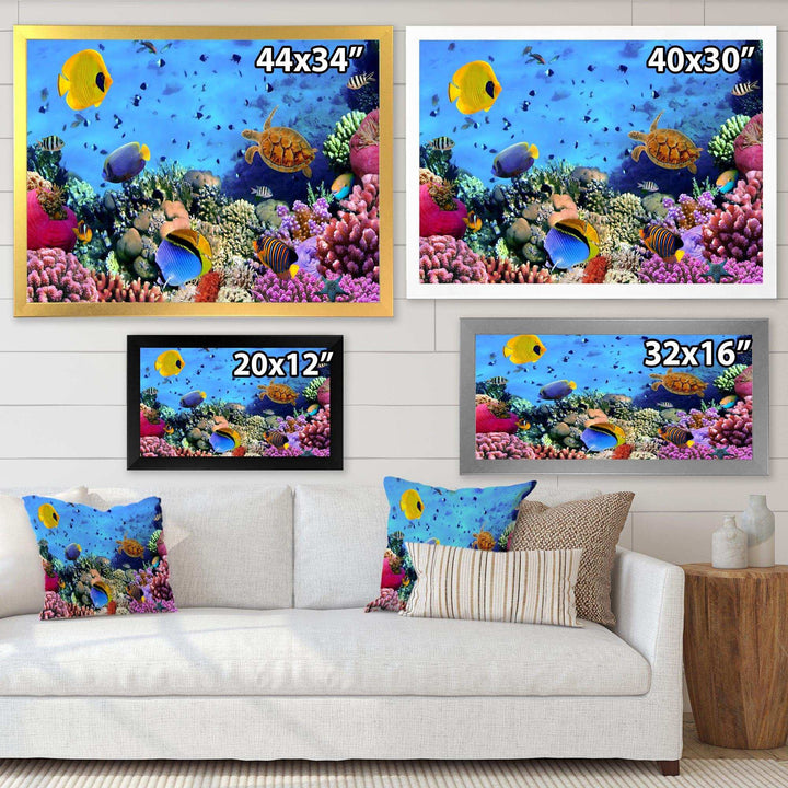 Coral Colony and Coral Fishes
