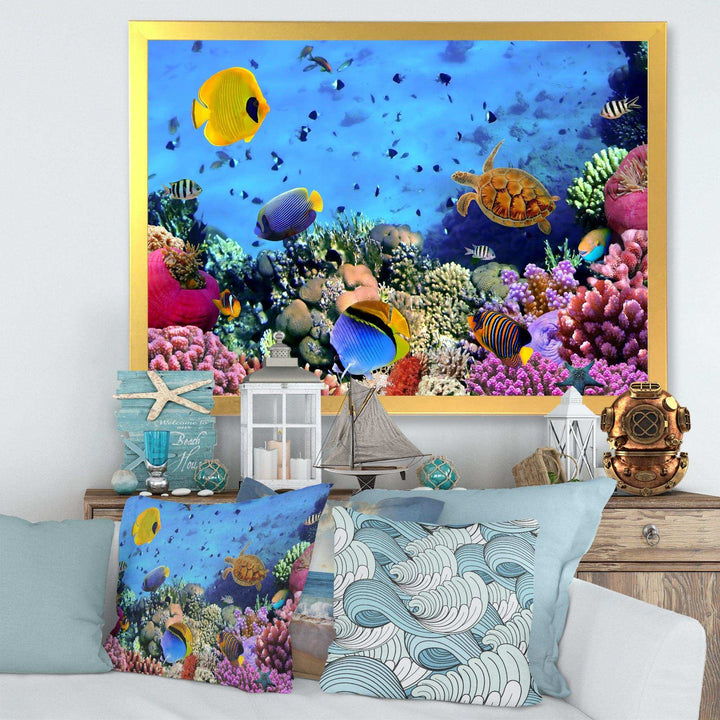 Coral Colony and Coral Fishes