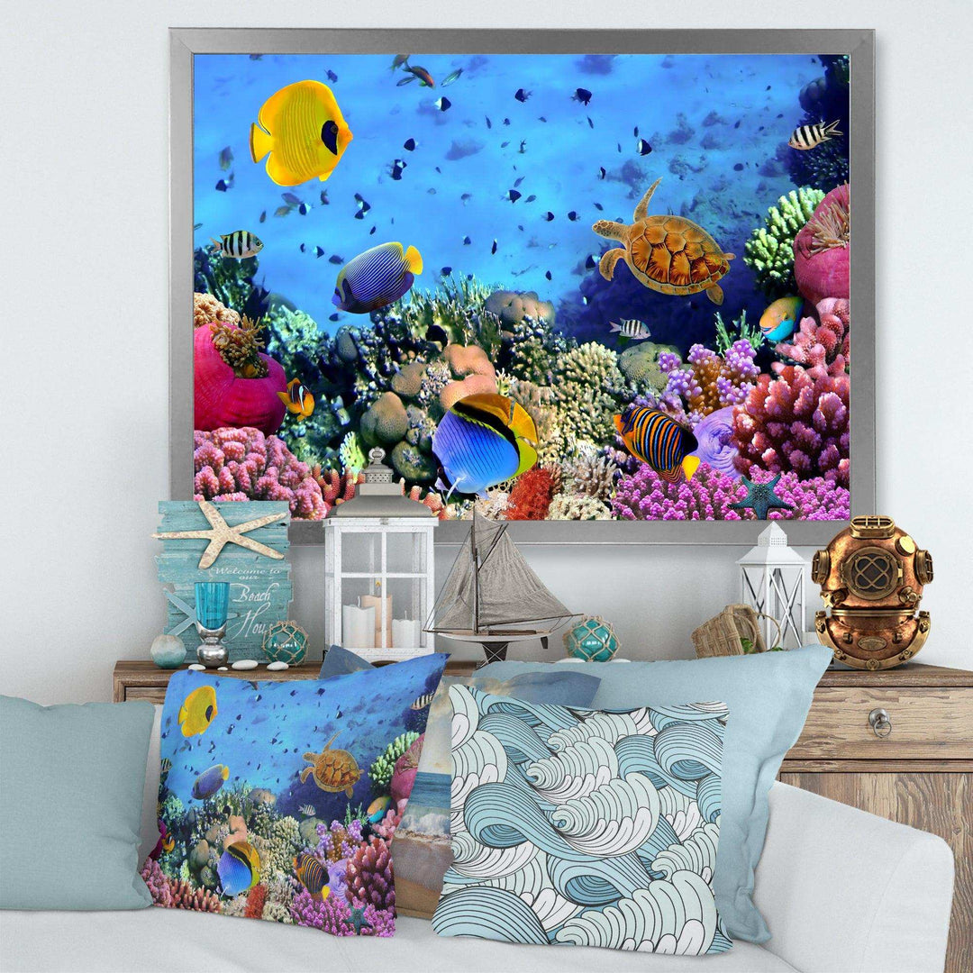 Coral Colony and Coral Fishes